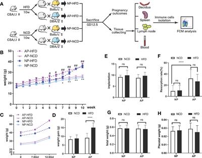 Obesity Challenge Drives Distinct Maternal Immune Response Changes in Normal Pregnant and Abortion-Prone Mouse Models